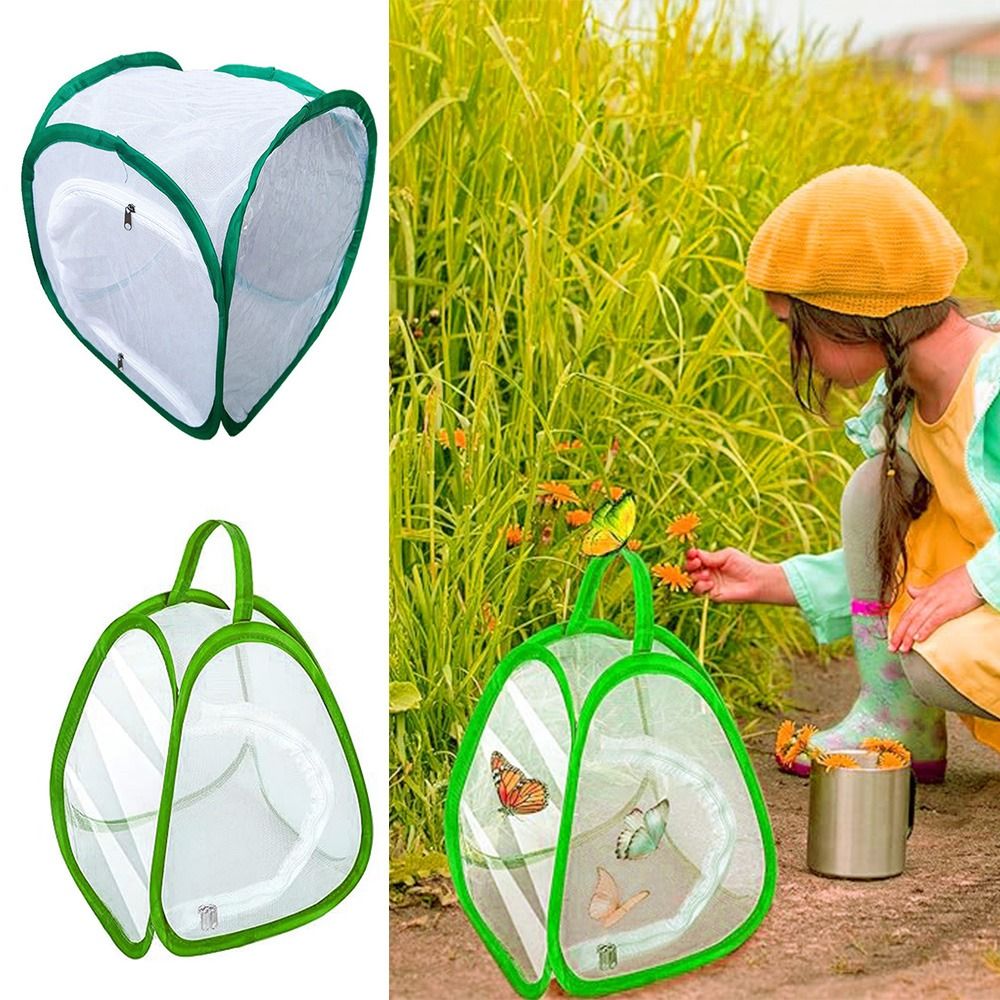 Green Collapsible Insect Cage  - Green Screen Collapsible review and price