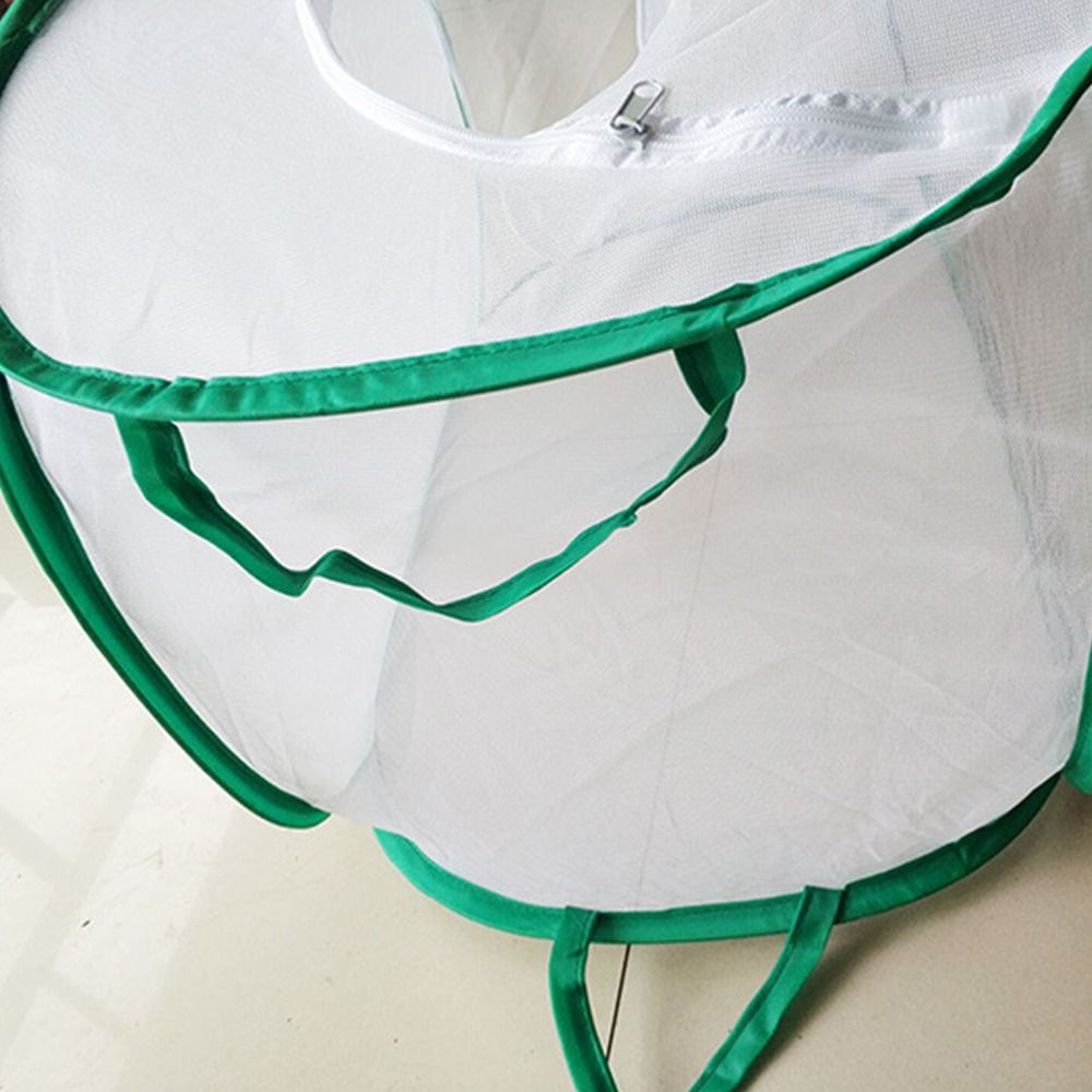 Green Collapsible Insect Cage  - Green Screen Collapsible review and price