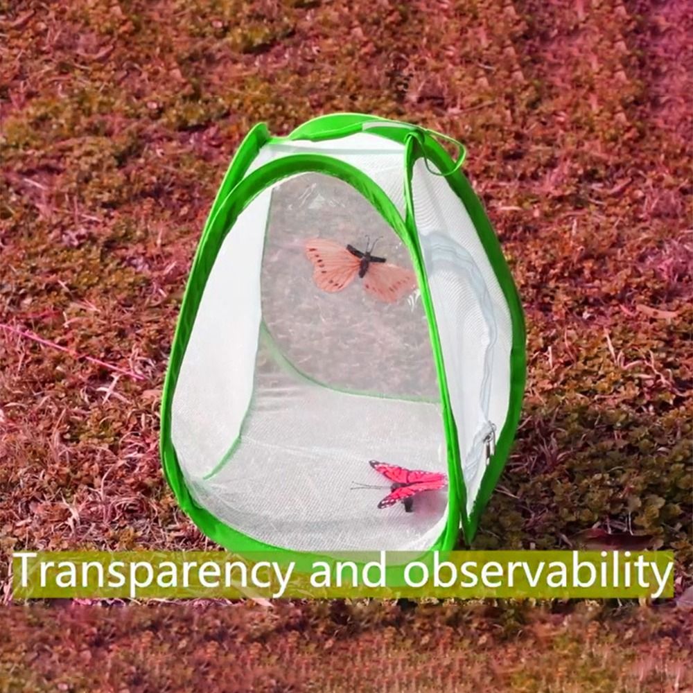 Green Collapsible Insect Cage  - Green Screen Collapsible review and price